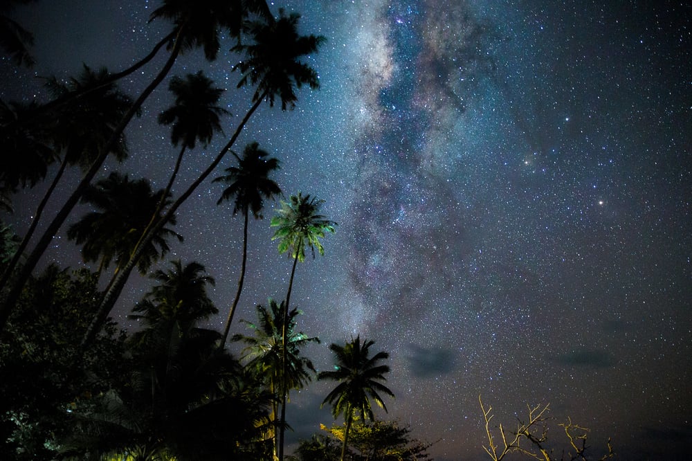 Image of Palms and Planets