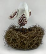 Image of Bird in the Nest