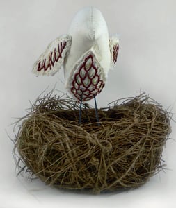Image of Bird in the Nest