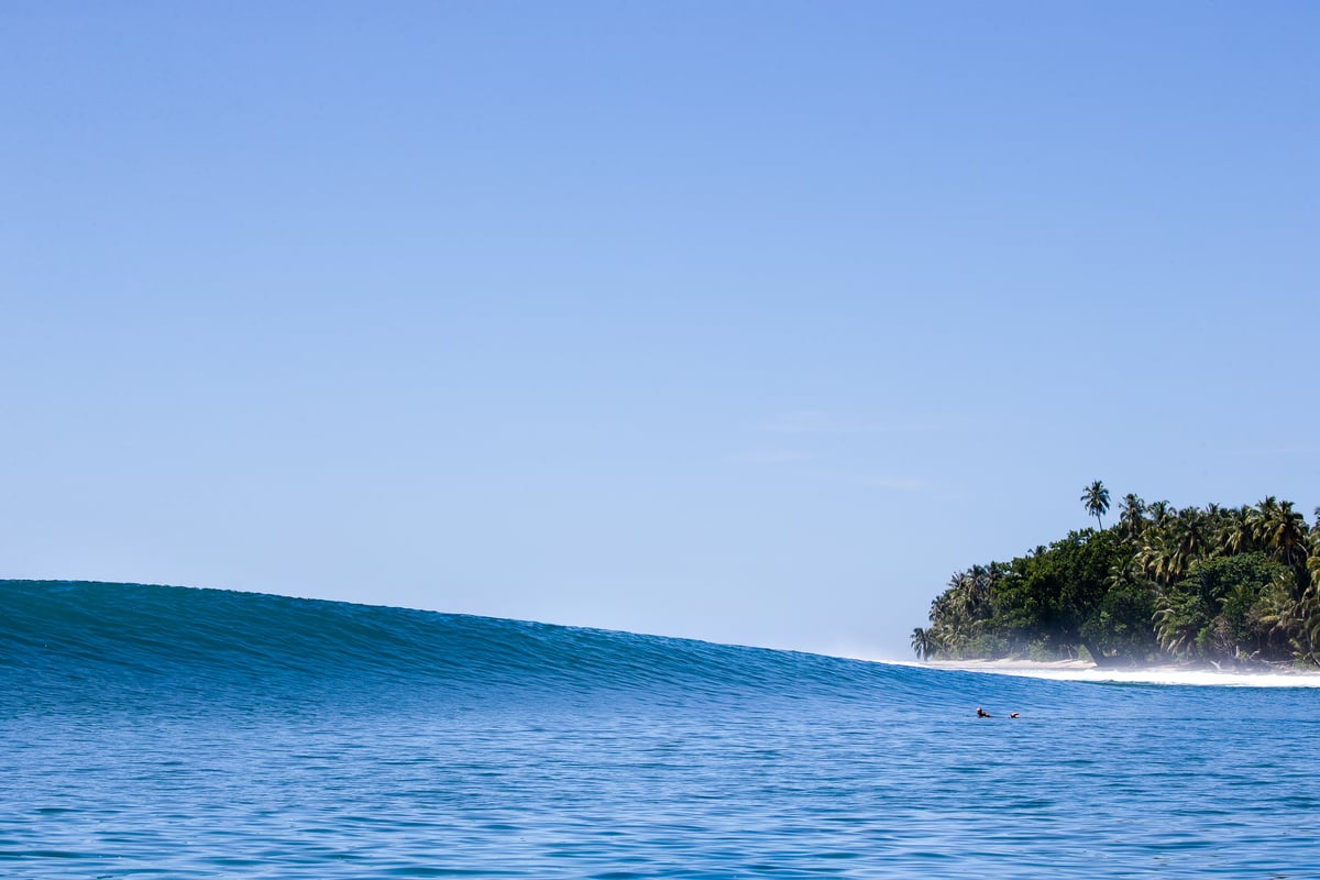 Image of Alone in the Angles