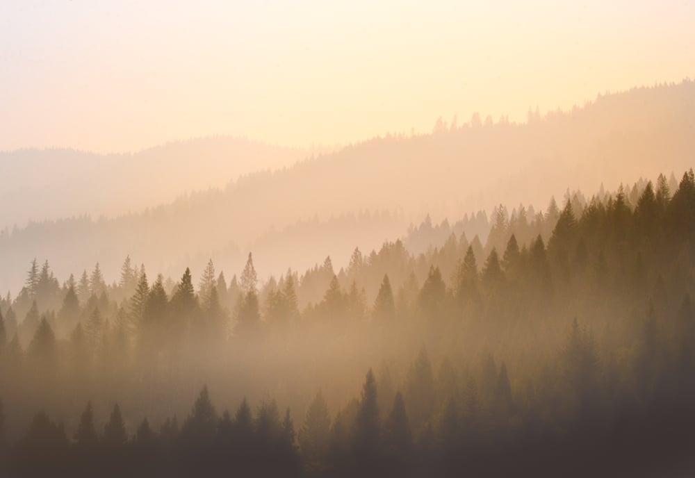 Image of Oregon Haze