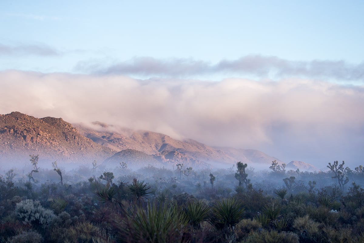 Image of High Desert