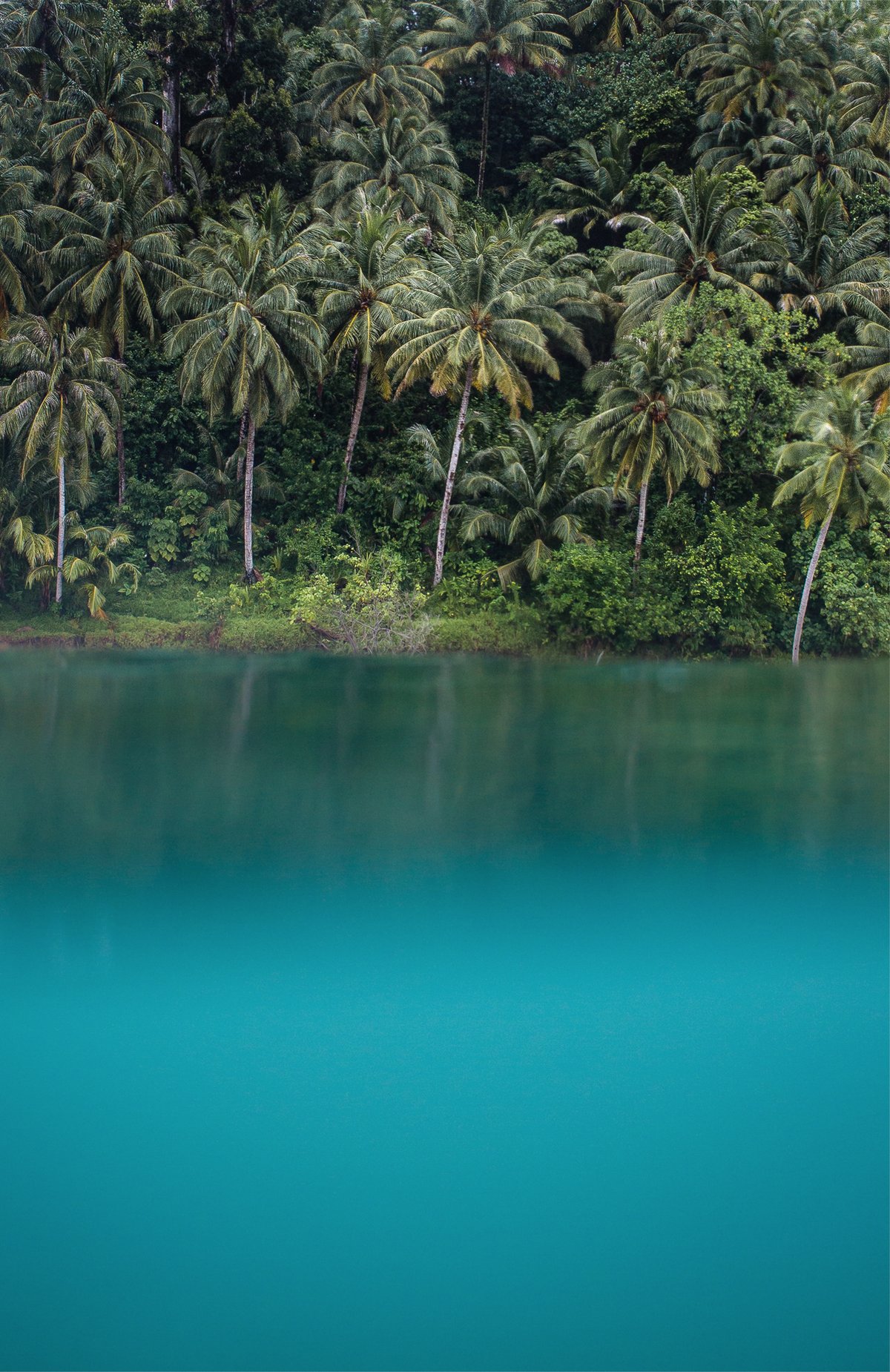 Image of Sea Level Split