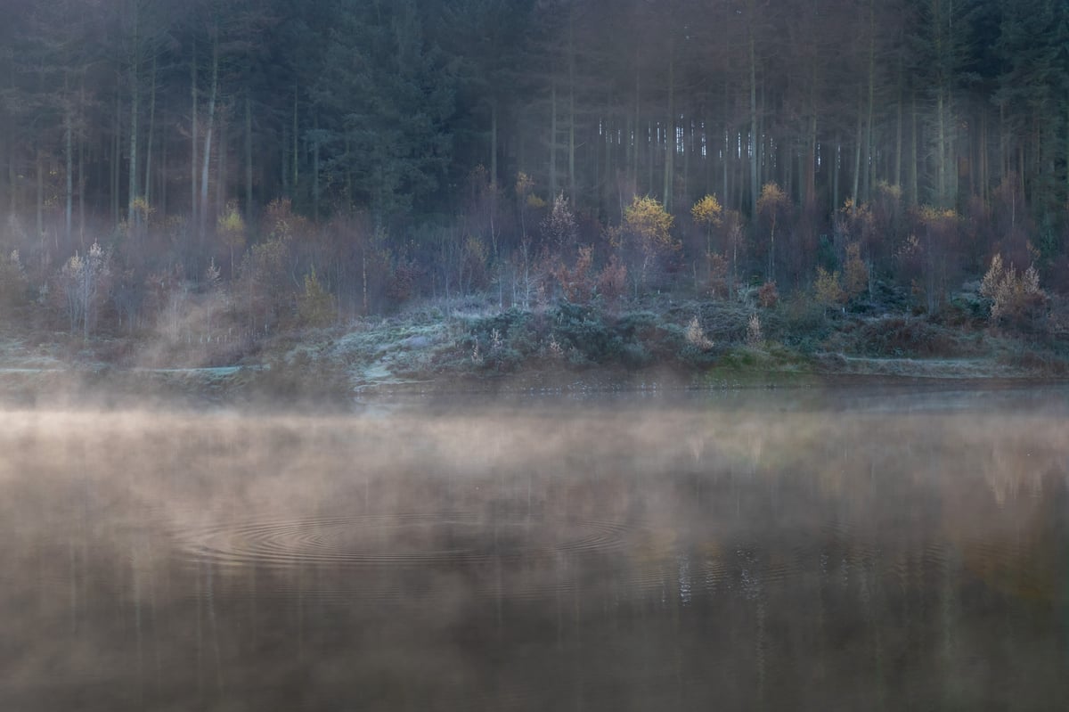 Image of MACCLESFIELD FOREST, MIST & DAWN, EARLY WINTER