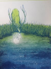 Image 1 of Elk Reflections (green Variant