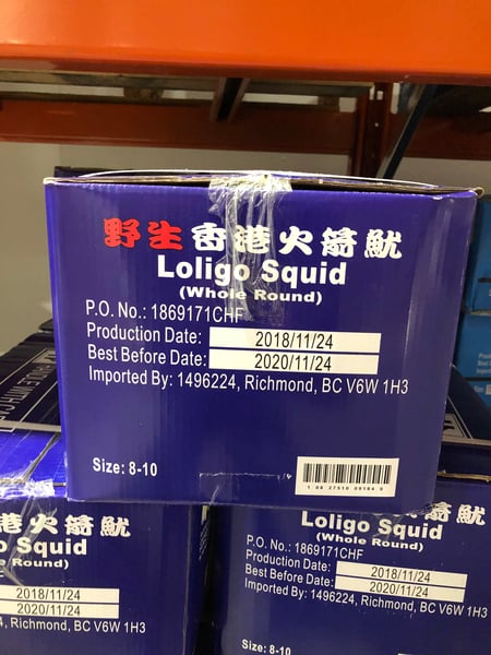 Image of Squid Loligo 8-10 20 x 340g