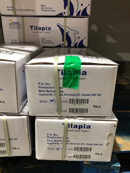 Image of Tilapia Cleaned 550-750 15.3 Lb 