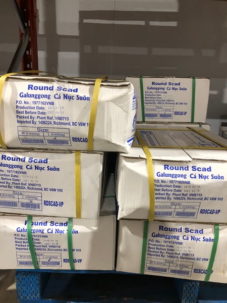 Image of Round Scad ( Galungong ) 3-5 20 x 500g