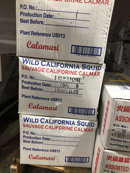 Image of California Squid 12 x 1 kg
