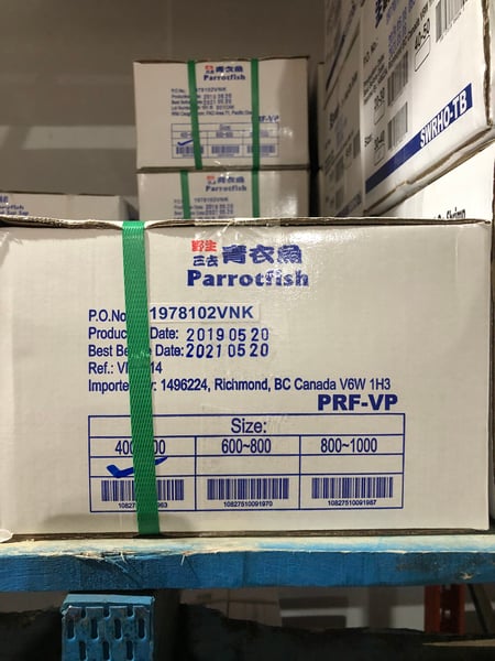 Image of Parrot Fish Cleaned 400-600 VP 10 kg