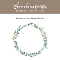 Image 2 of Eucalyptus - Halo Collection