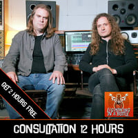 ONLINE CONSULTATION - 12 HOURS (GET 2 HOURS FREE)