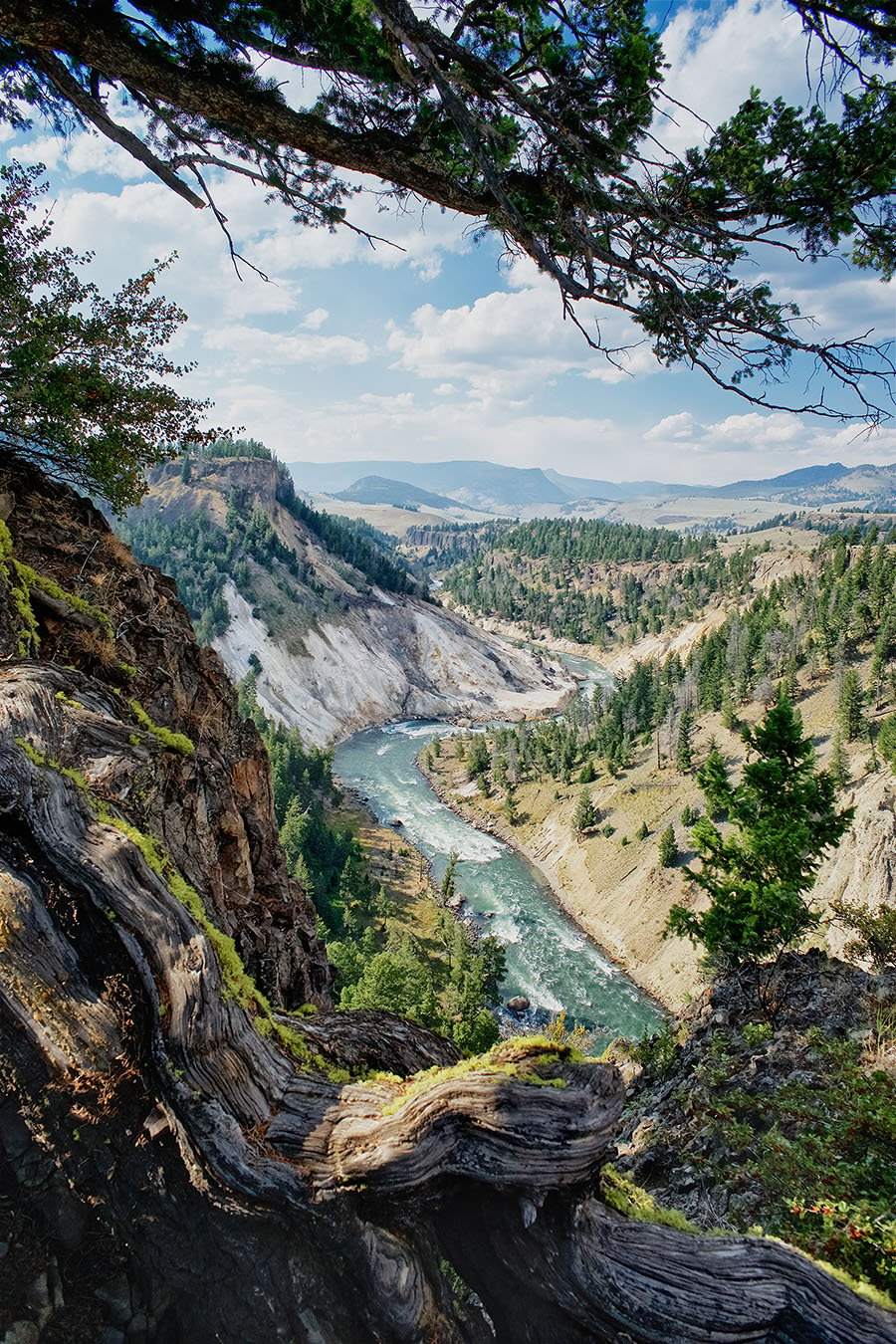 Yellowstone Valley