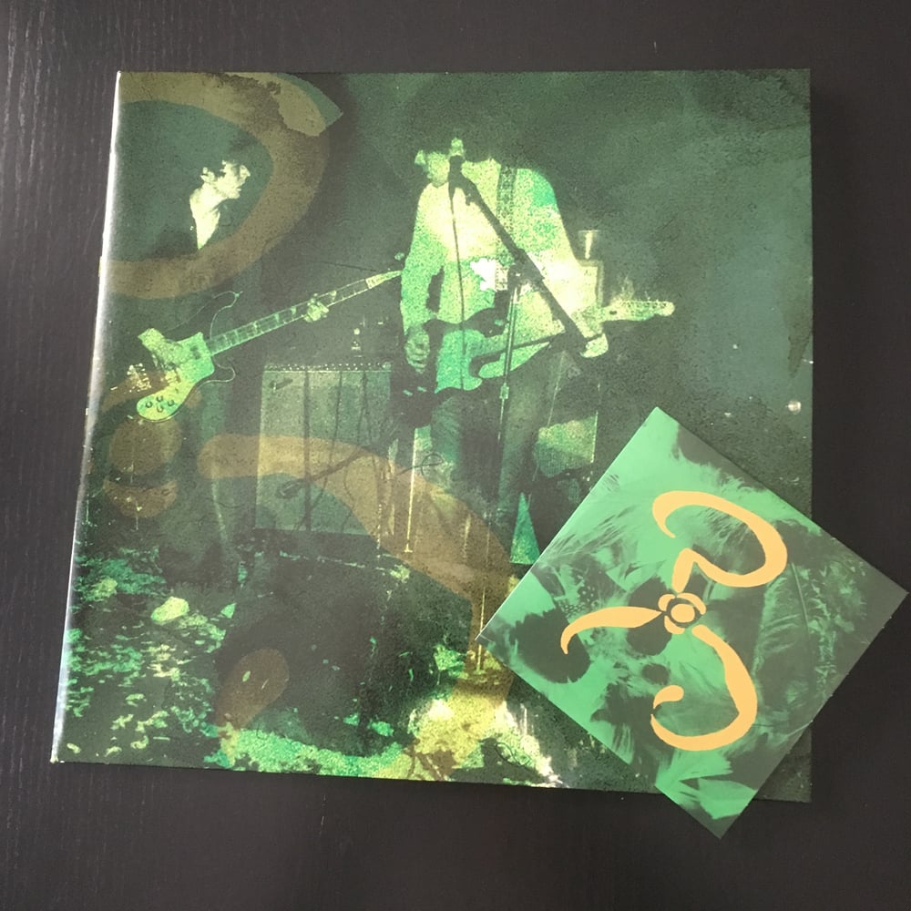 Image of "Feathers" double LP