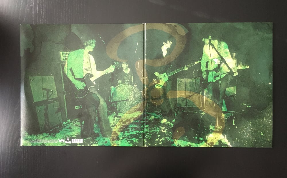 Image of "Feathers" double LP