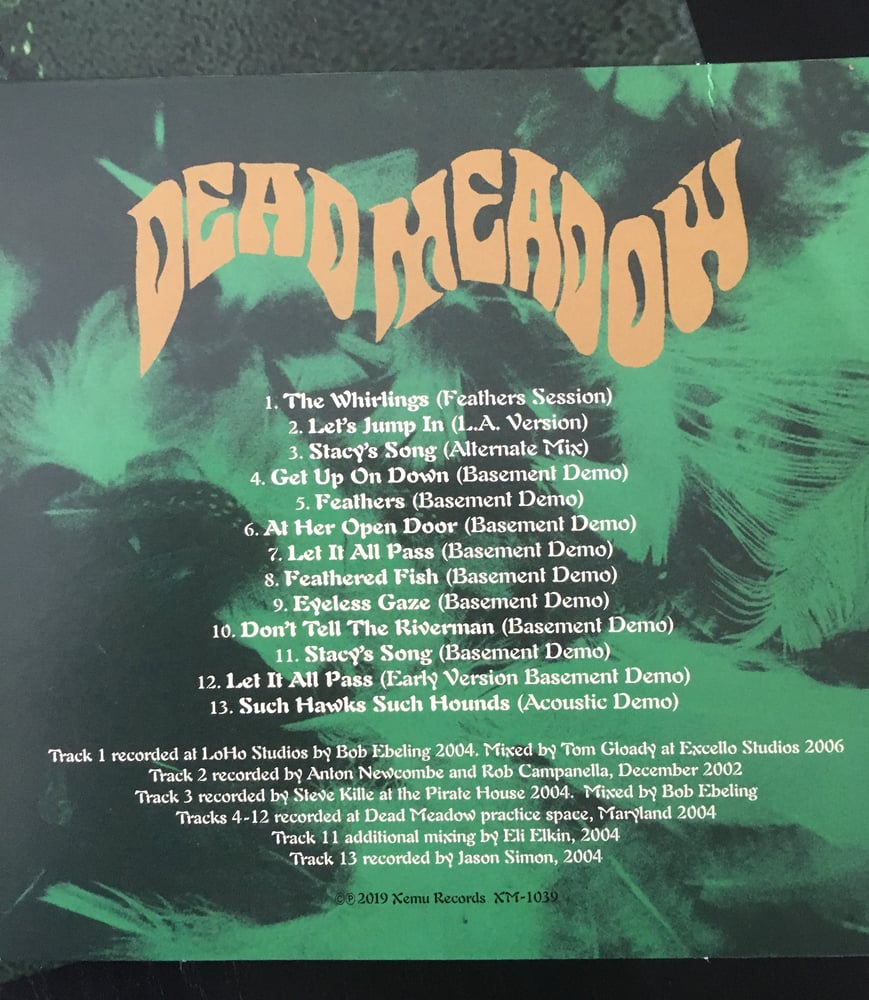 Image of "Feathers" double LP