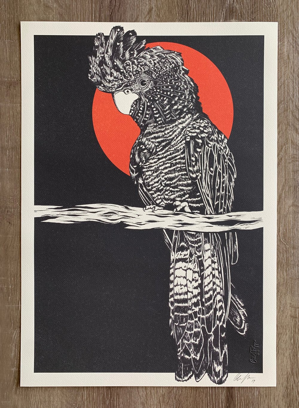 Image of ‘Black Cockatoo’ Fine Art Print