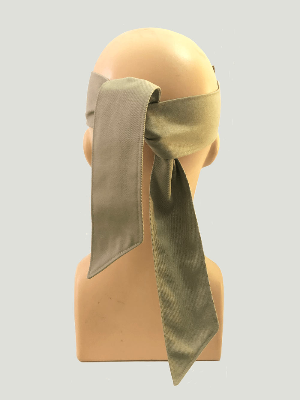 PRE-CONSUMER VISOR