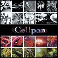 Image of Conception (2005)