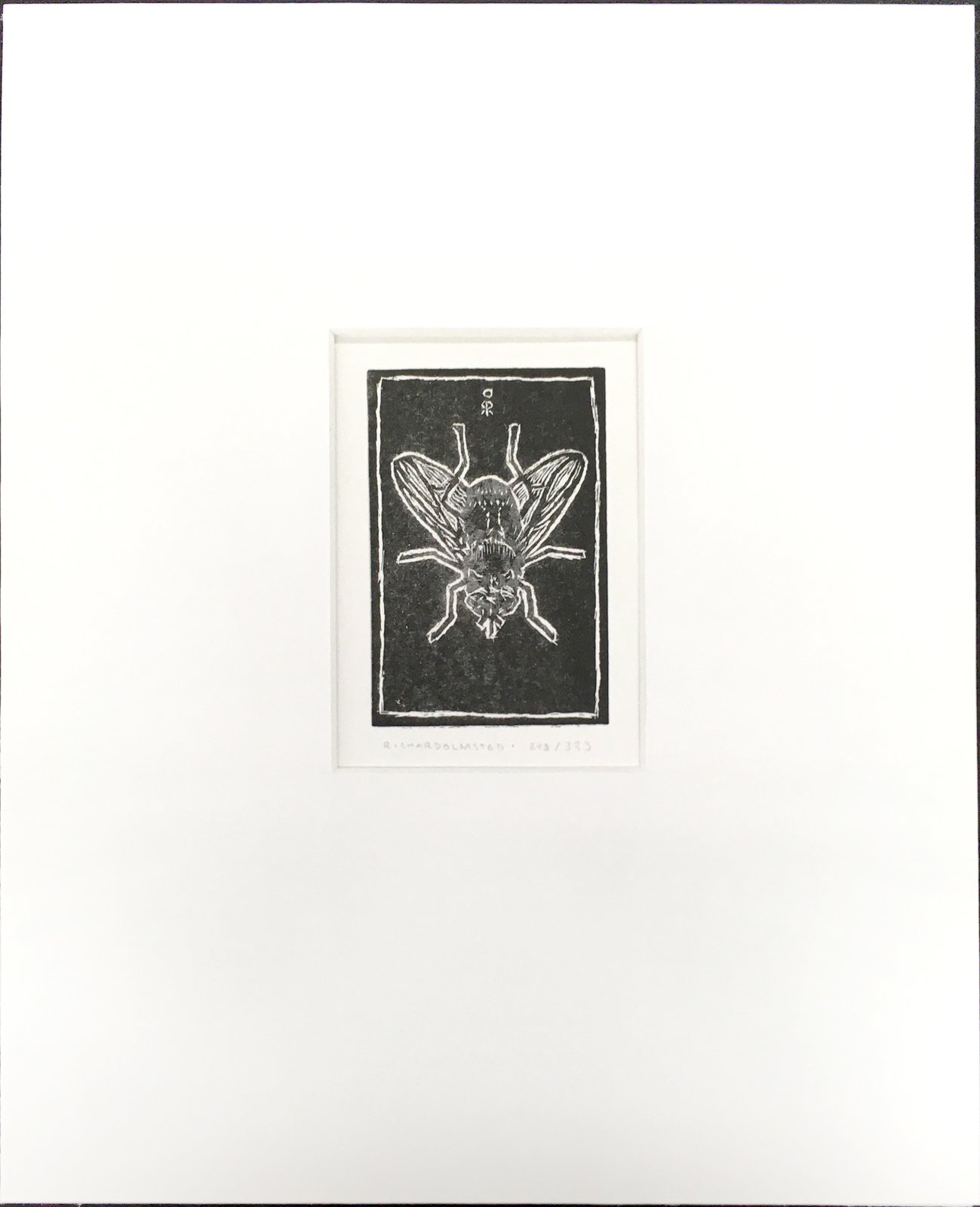 【Edition.10】Fly フライ 直書サイン入り artwork Fly engraving / Richard Olmsted art