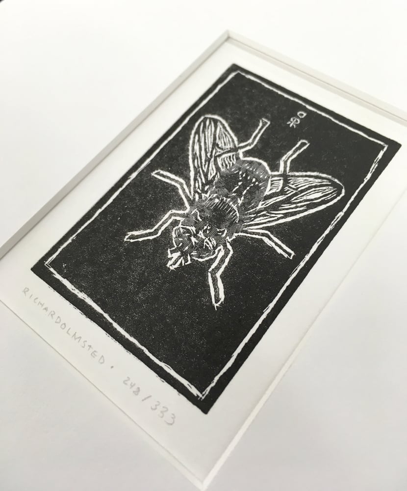 Image of Fly engraving