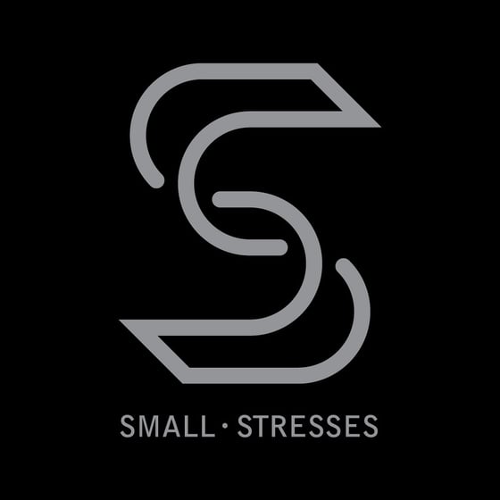 Image of Small Stresses - Lathe Cut 7"