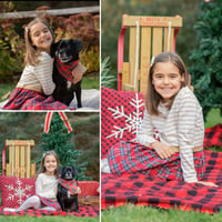 Image 1 of Winter Mini Sessions - 20 minutes - 10 images - $100