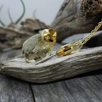 Image 2 of  Champagne Crystal Essential Oil Pendant