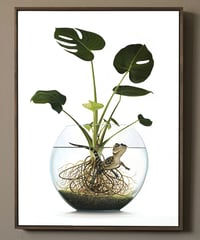 Basin"