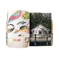 Image 3 of HITNES / selezione naturale