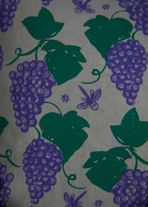 Image of Frilly Grapevines and Dragonflies