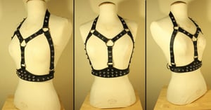 Image of "LUNA" harness