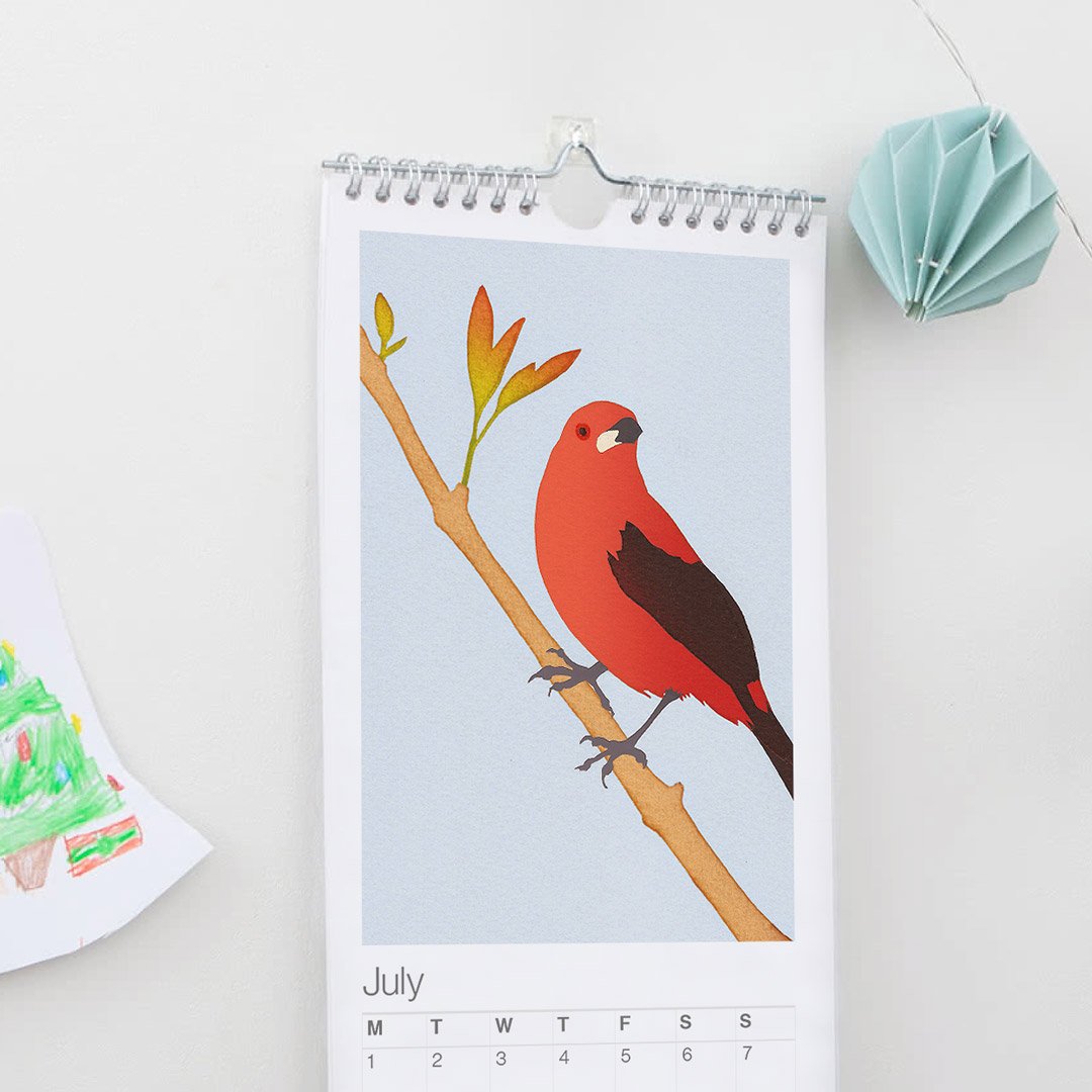 Image of 2020 Birds Calendar – Free UK shipping!