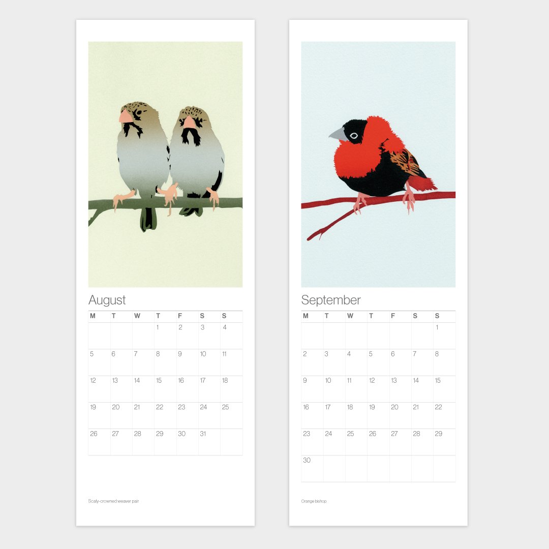 Image of 2020 Birds Calendar – Free UK shipping!