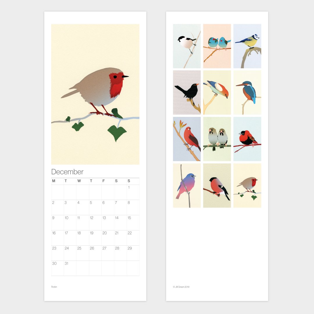 Image of 2020 Birds Calendar – Free UK shipping!