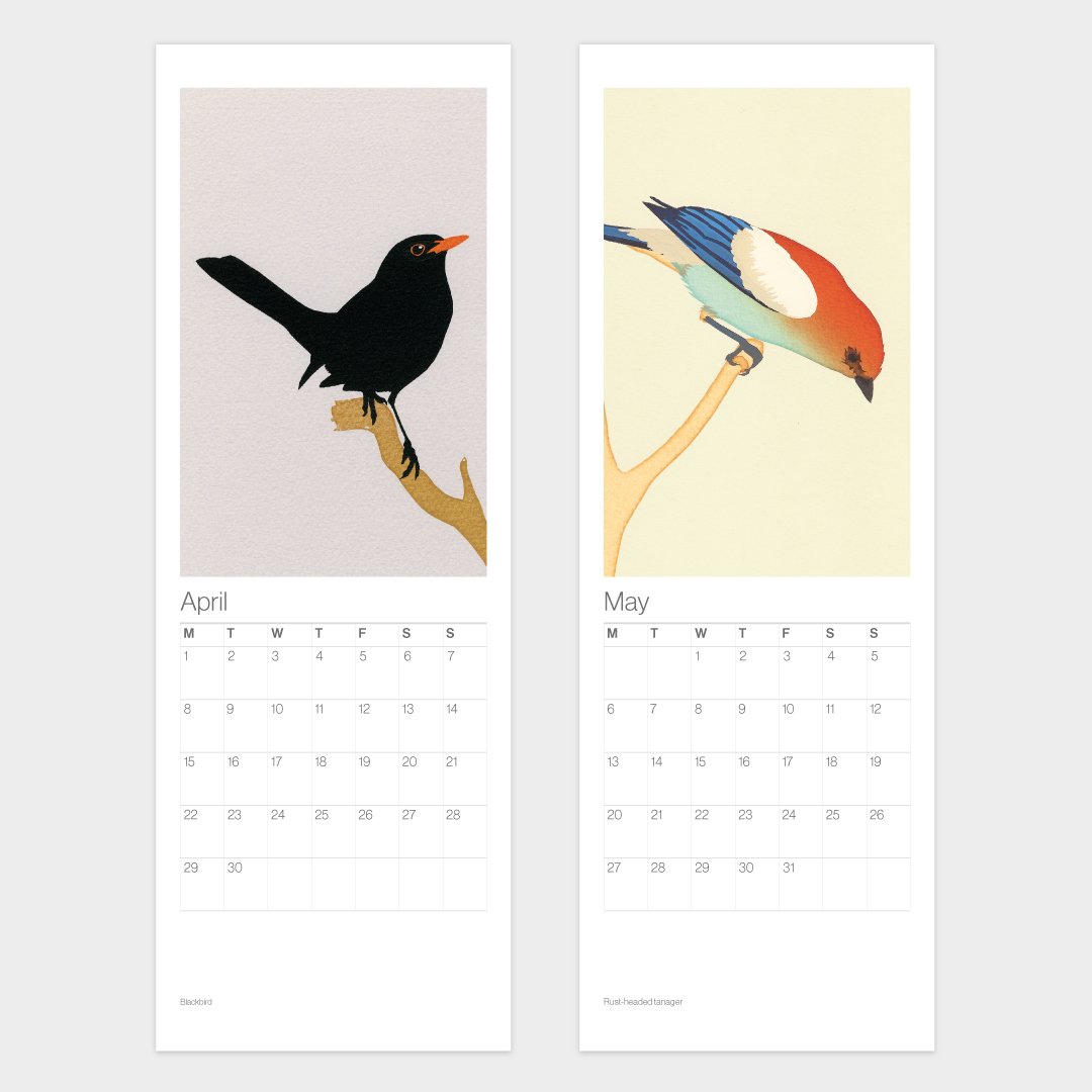 Image of 2020 Birds Calendar – Free UK shipping!