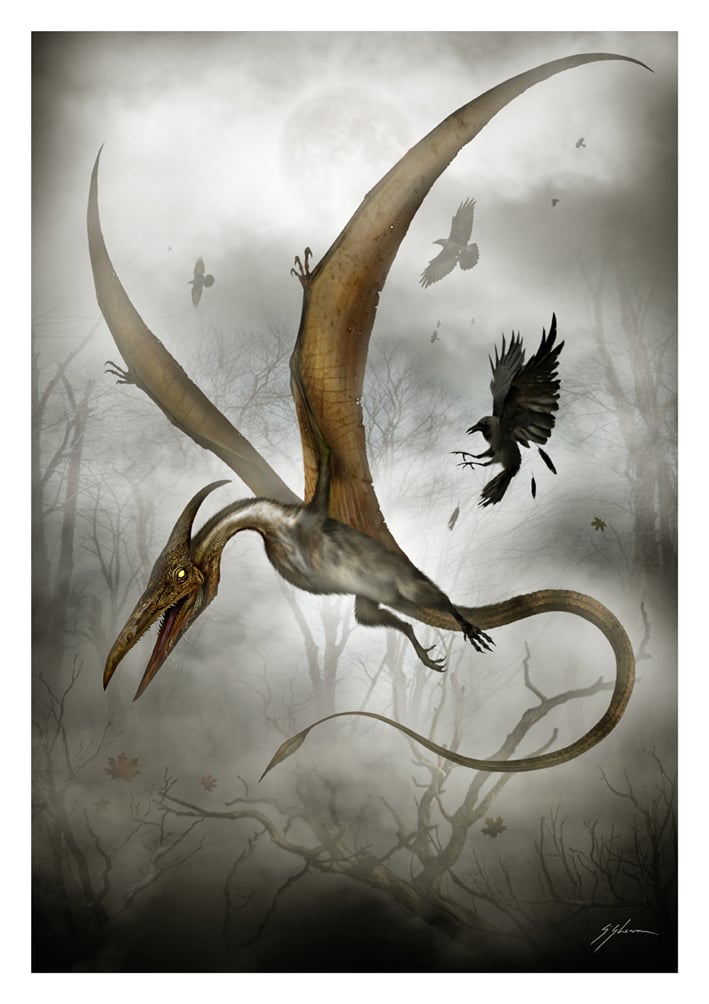 The Texas Pterosaur