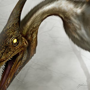 The Texas Pterosaur