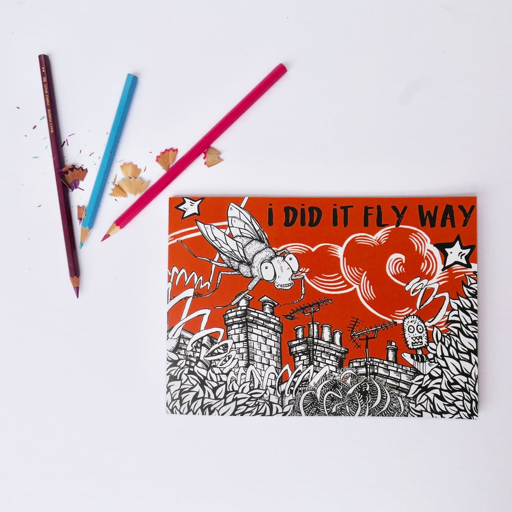 Image of Colouring in Book - 'I did it Fly Way'