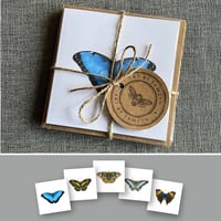 Image 1 of 5 Card Notelet/Greeting card set (various designs)