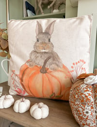Image 3 of SALE! Woodland Pumpkin Cushions ( Set or Singles )