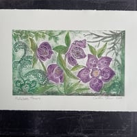 Image 3 of Hellebore Flowers 