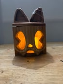 Image 7 of Natural cat lantern