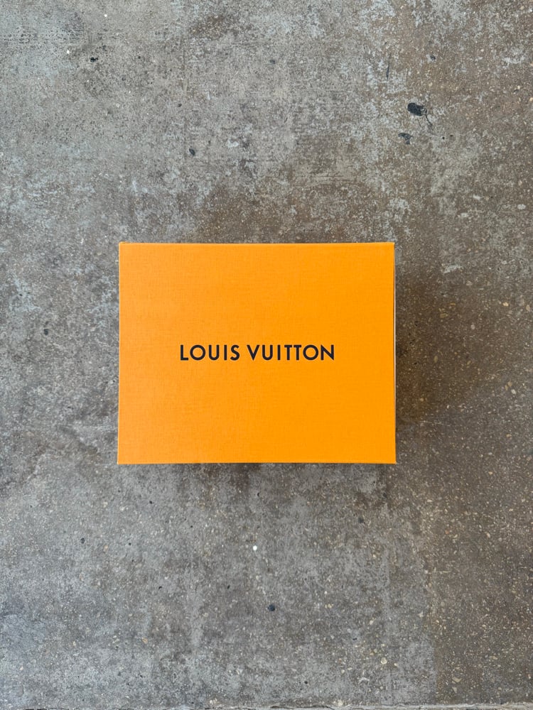 Image of Louis Vuitton Skate Sneakers 