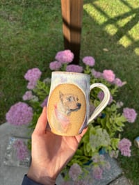 Image 8 of Pink Pitbull 