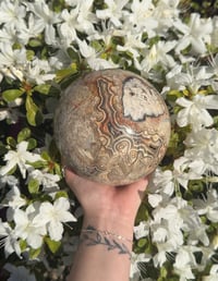 Image 2 of XXL BEAUTIFULLY BANDED MEXICAN LACE AGATE SPHERE