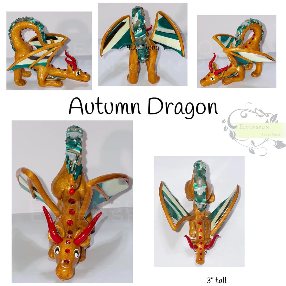 Image of Autumn Collection 2024