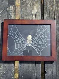 Image 2 of Cat Collection - Cat engravings with real preserved web- Q