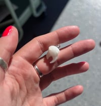 normal regular plain old regular normal tooth