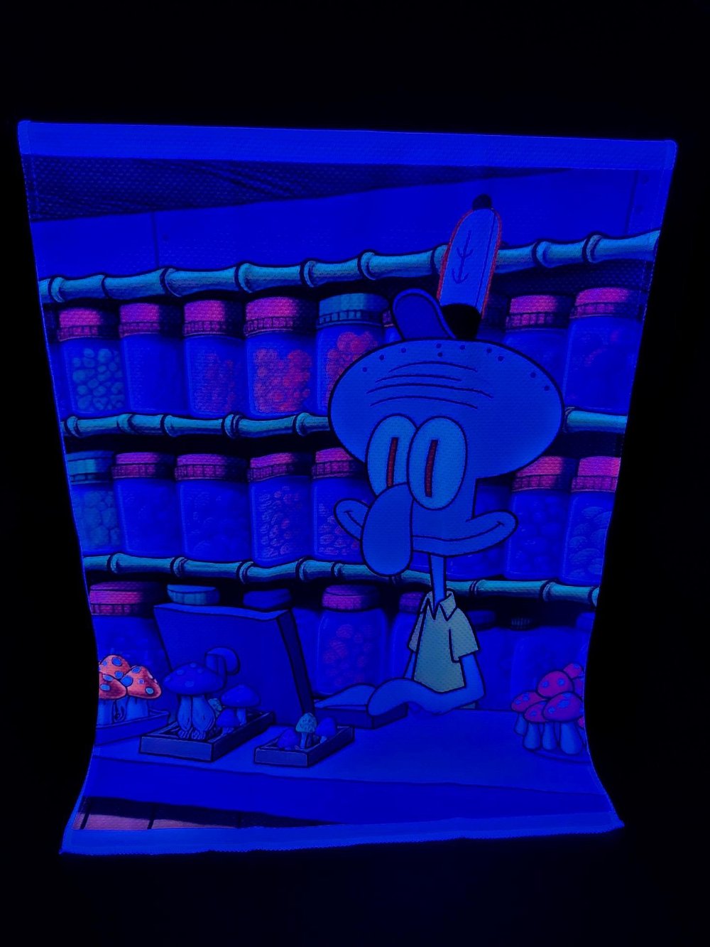 Image of Squidwards Calling 